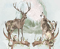 Druid Hills Homeowners Association Official Site HOA