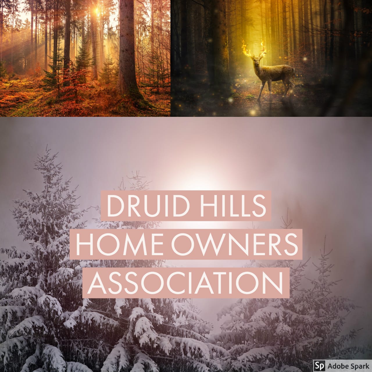 Druid Hills Homeowners AssociationDruid Hills HOA